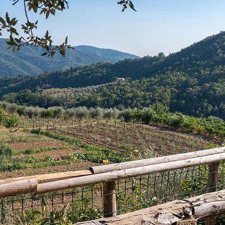 Poggio Al Mandorlo Βίλα Greve in Chianti Εξωτερικό φωτογραφία