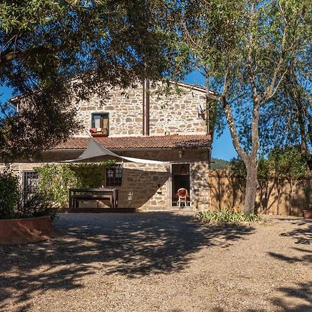 Poggio Al Mandorlo Βίλα Greve in Chianti Εξωτερικό φωτογραφία