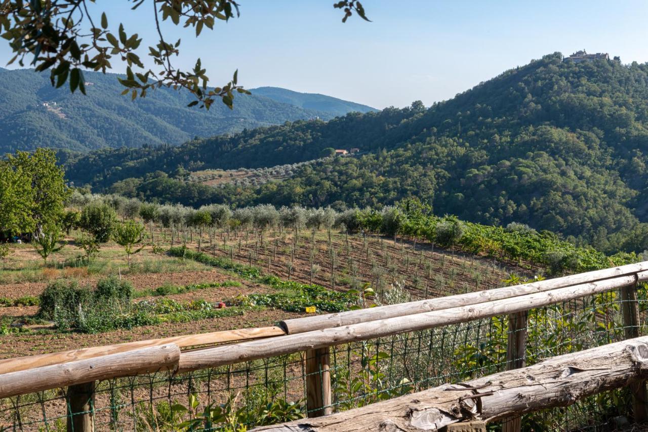 Poggio Al Mandorlo Βίλα Greve in Chianti Εξωτερικό φωτογραφία